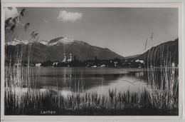 Lachen - Ansicht Vom See - Photo: Albrecht - Lachen