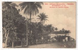 KONAKRY - Avenue Du Jardin Public - Fortier 593 - French Guinea