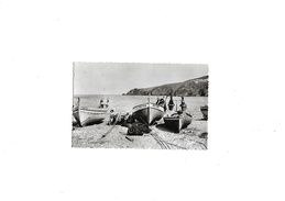 Delcampe - Carte Postale Cerbère (66)  Le Cap Cerbère  Années 50 - Cerbere