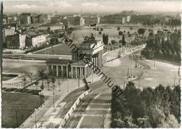 Berlin - Brandenburger Tor Mit Grenzmauer - Foto-Ansichtskarte - Dierentuin