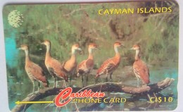 Cayman Islands 13CCIA West Indian Whistling Ducks CI $10 - Iles Cayman