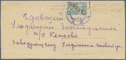 Br Dt. Besetzung II WK - Russland - Pleskau (Pskow): 1941, 20 Kop. Mit Rotem Überdruck "PLESKAU" Auf Ru - Occupazione 1938 – 45