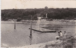 44 -   SAVENAY   La Piscine Au Lac De La Vallée Mabile - Savenay