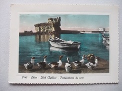 M18 Postcard Lebanon - Jbeil (Byblos) - Libano