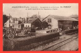 MACHECOUL - Vue Générale De La Distillerie St REMY MARTIN Et Cie, Négociant à Cognac.. - Machecoul
