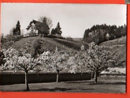 EVA-23 Erholungsheim Dorfberg Langnau I.E. Nicht Gelaufen. - Langnau Im Emmental