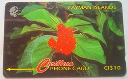 Cayman Islands 94CCIB Broadleaf Flower CI$10 - Iles Cayman