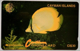 Cayman Islands 5CCIB CI$30 " Yellow Fish " - Iles Cayman