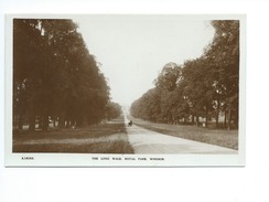 The Long Walk. Royal Park Windsor - Windsor