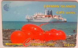 Cayman Islands 131CCID CJFS CI$15 - Iles Cayman