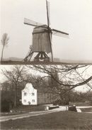 Scheldewindeke : Vissers Molen En Blauw Kasteel  --- 2 Kaarten - Oosterzele