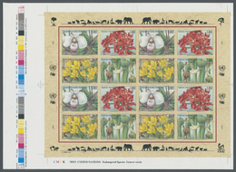 ** Thematik: Flora, Botanik / Flora, Botany, Bloom: 1996, UN Geneva. Imperforate Pane Of 4 Sets Of 4 Showing Lady's Slip - Autres & Non Classés