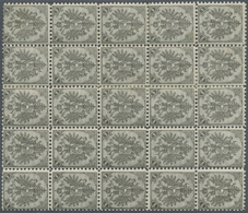 **/* Bosnien Und Herzegowina (Österreich 1879/1918): 1879, Doppeladler 1 Kr. Grau Lz. 10½ Im 25er-Block Mit Wasserz - Bosnia And Herzegovina