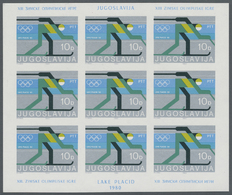 ** Thematik: Olympische Spiele / Olympic Games: 1980, Yugoslavia For Olympic Winter Games Lake Placid. Set Of 2 Imperfor - Other & Unclassified