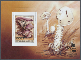 ** Thematik: Pfadfinder / Boy Scouts: 1996, Chad. Mis-perforated Souvernir Sheet "1500fr Boy Scout Jamboree, Holland" Sh - Other & Unclassified