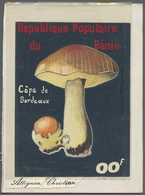 Thematik: Pilze / Mushrooms: 1985, Benin. Artwork For A Value Of The MUSHROOMS Series Showing A Non-issued Design "Cèpe - Champignons