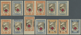 ** Thematik: Rotes Kreuz / Red Cross: 1921/1926, Estland. Lot Rot-Kreuz-Marken "Schwester Pflegt Verwundeten": Normalaus - Croix-Rouge