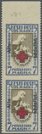 **/* Thematik: Rotes Kreuz / Red Cross: 1923, Estland. Lot Rot-Kreuz-Marken "Schwester Pflegt Verwundeten" Aufdruckausga - Croix-Rouge