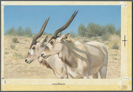 Thematik: Tiere, Fauna / Animals, Fauna: 1982, Bahrain. Artist's Drawing For The Sixth 100f Value Of The Set "Al-Areen W - Altri & Non Classificati