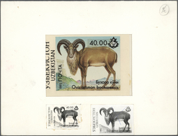 Thematik: Tiere, Fauna / Animals, Fauna: 1993, Uzbekistan. Set Of 4 Artworks And Also 8 Essay Fotos (different Designs) - Autres & Non Classés