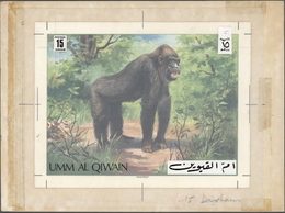 Thematik: Tiere-Affen / Animals-monkeys: 1971, Umm Al-Qaiwain. Artist's Drawing For The 15dh Value Of The WILDLIFE Serie - Scimmie