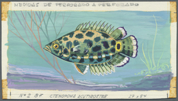 Thematik: Tiere-Fische / Animals-fishes: 1967, Burundi. Artist's Drawing For The 8fr Value Of The Tropical Fish Series S - Fishes