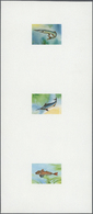 ** Thematik: Tiere-Fische / Animals-fishes: 1979, Mauritania - 6 Items; Collective, Progressive Plate Proofs Of The Luxu - Fishes