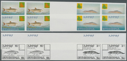 ** Thematik: Tiere-Fische / Animals-fishes: 1985, Ethiopia. Progressive, Collective Proof (8 Phases) In Horizontal Doubl - Fishes