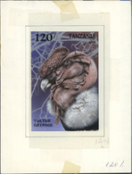 Thematik: Tiere-Greifvögel / Animals-birds Of Prey: 1994, Tanzania. Set Of 8 Artworks For The Stamps And The Souvenir Sh - Aigles & Rapaces Diurnes