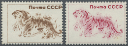 ** Thematik: Tiere-Katzen / Animals-cats: 1970, Two Proofs, Probably For The 20 Kop. Siberian Tiger Issue. - Gatti