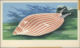 Thematik: Tiere-Meerestiere / Animals-sea Animals: 1972, Umm Al-Qaiwain. Artist's Drawing For The 15dh Value Of The Set - Vie Marine