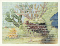 Thematik: Tiere-Meerestiere / Animals-sea Animals: 2003, St. Thomas And Prince Islands. Lot Of 2 Artworks For The CRUSTA - Vita Acquatica