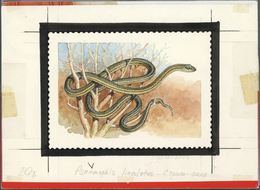 Thematik: Tiere-Reptilien / Animals-reptiles: 1995/1996, Kyrgyzstan. Set Of 8 Artworks For Stamps Of The Complete Reptil - Altri & Non Classificati