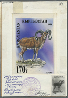 Thematik: Tiere-Säugetiere / Animals-mammals: 1995, Kyrgyzstan. 170 T Bighorn/Altai Wildschaf (Ovis Ammon Ammon) Artwork - Altri & Non Classificati