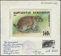 Thematik: Tiere-Säugetiere / Animals-mammals: 1995, Kyrgyzstan. 140 T Marmot/Menzbier Murmeltier (Marmota Menzbier) Artw - Altri & Non Classificati