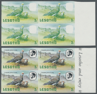 /** Thematik: Tiere-Tauben / Animals-pigeons: 1982 "Pigeons" 2s. On Watermarke Paper, Six Different Progressive Proofs E - Columbiformes