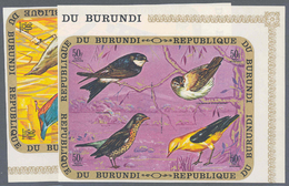 ** Thematik: Tiere-Vögel / Animals-birds: TIERE-VÖGEL: Burundi 1970/71, Vögel Komplett In UNGEZÄHNTEN Eckrand-Viererbloc - Altri & Non Classificati