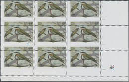 ** Thematik: Tiere-Vögel / Animals-birds: 2007, Iraq. Misperforated Corner Block Of 9 For The 250d Value Of The Birds Se - Autres & Non Classés