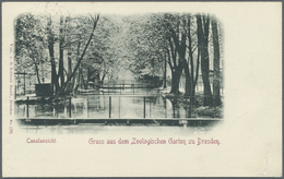GA Thematik: Tiere-Zootiere / Animals-zoo Animals: 1899, Dt. Reich. Privat-Postkarte 5 Pf Ziffer "Gruss Aus Dem Zoologis - Altri & Non Classificati