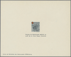 (*) Französische Zone - Rheinland Pfalz: 1949, 10 Pfg. Bis 30 Pfg. Rotes Kreuz Als Ministerblocks Auf Ka - Autres & Non Classés