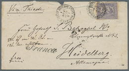 Br Ägypten: 1873. Envelope (faults) Addressed To Germany Bearing SG 33, 2 ½pi Violet Tied By Poste Egiziane/Porto Said D - 1915-1921 Protectorat Britannique