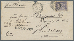 Br Ägypten: 1873. Envelope (faults) Addressed To Germany Bearing SG 33, 2 ½pi Violet Tied By Poste Egiziane/Porto Said D - 1915-1921 Protettorato Britannico