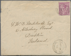 Br Tasmanien: 1895. Roughly Opend Envelope Addressed To Dublin, Ireland Bearing SG 217, 2½d Purple Tied By '109' Obliter - Storia Postale