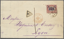 Br Italien: 1880. Printed Circular Addressed To France Bearing 'Timbres De Service' Yvert 31, 2c On 5.00 Lilac Ti - Marcophilia