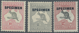 ** Australien: 1931, Freimarken: Landkarte Mit Känguruh, Mit Aufdruck "SPECIMEN", Tadellos Postfrisch (SG #75, 112, 114  - Other & Unclassified