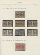 (*) Brasilien - Privatflugmarken Varig: 1931/34, Icarus Issues, Collection Of 292 Imperf Proofs On Ungummed Paper, Compr - Poste Aérienne (Compagnies Privées)