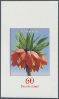 ** Bundesrepublik Deutschland: 2013, 60 C Blumen Kaiserkrone, Postfrisch Selbstklebend Aus Folienblatt - Andere & Zonder Classificatie