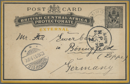 GA/Br Britisch-Zentralafrika: 1899/1905, Stationery Card 2d Canc. "CHIROMO AU 28 99" Via London To Germany W. "BÖSINGFEL - Other & Unclassified