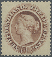 * Neufundland: 1866, 12 Cents Brown Queen Victoria, Unused With Good Perforation And Fresh Color - 1857-1861