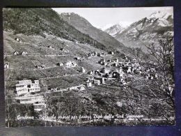 SVIZZERA -GORDOLA TICINO -F.G. LOTTO N°599 - Gordola